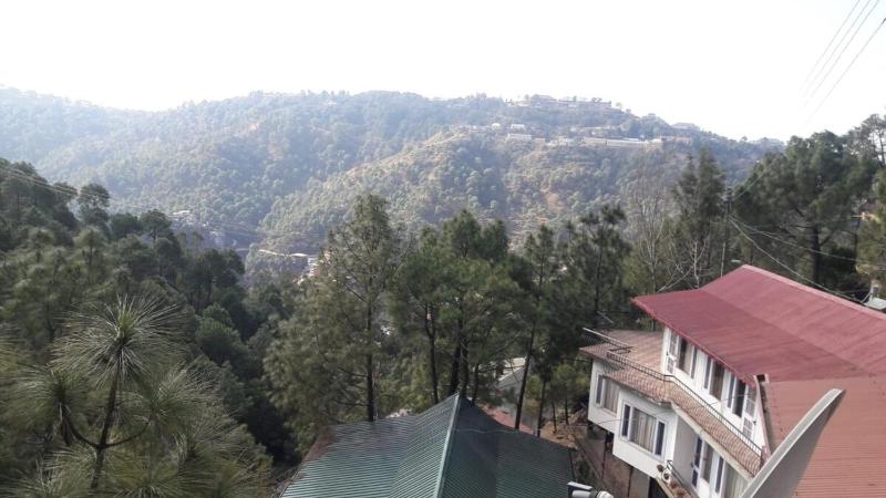 Cloudview Pines Cabin Resort Style Pvt Stay - image 5