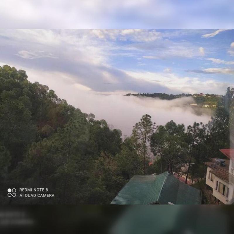 Cloudview Pines Cabin Resort Style Pvt Stay - image 13