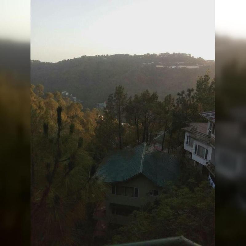 Cloudview Pines Cabin Resort Style Pvt Stay - image 29