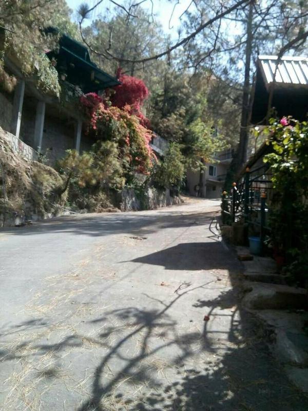 Cloudview Pines Cabin Resort Style Pvt Stay - image 27