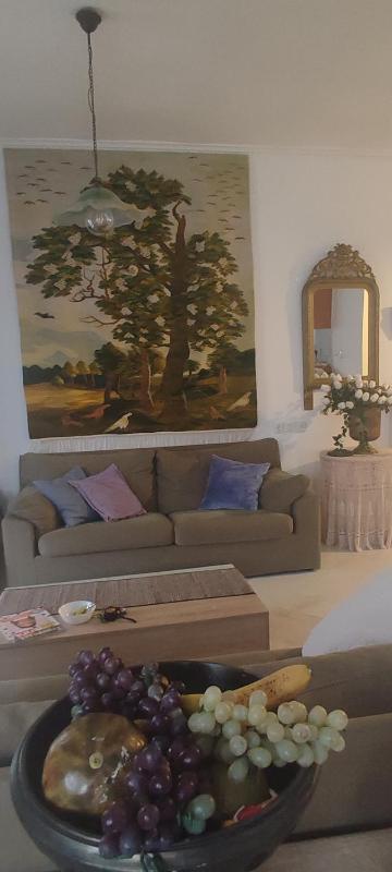Ilian House - image 33