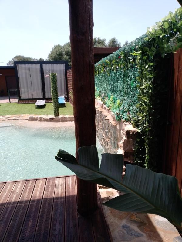 Casa Paraiso 2 piscina privada - image 24