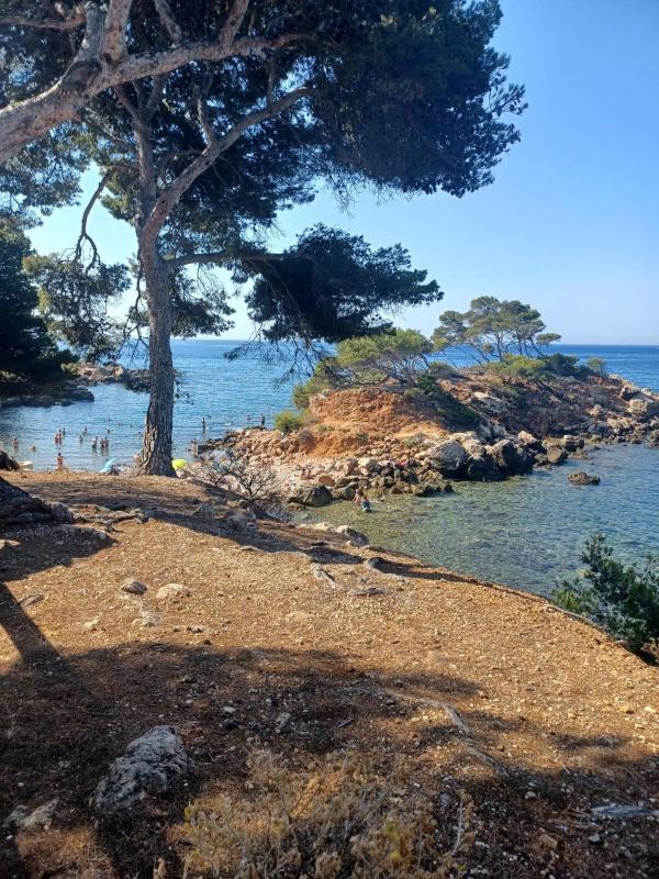 Flat with terrace in Sanary-sur-Mer - image 9