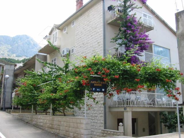 Apartment - Ground Floor image 4