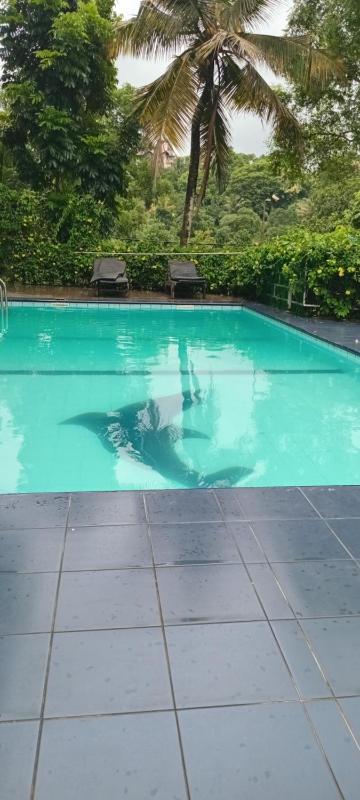 Blue Haven Guest House - image 1