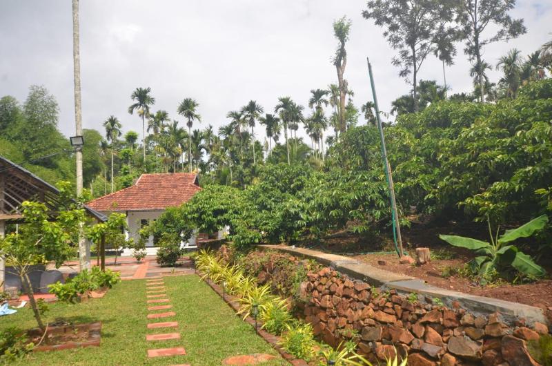 Green Pearl Homestay - image 9