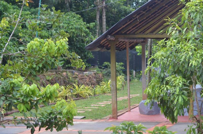 Green Pearl Homestay - image 23
