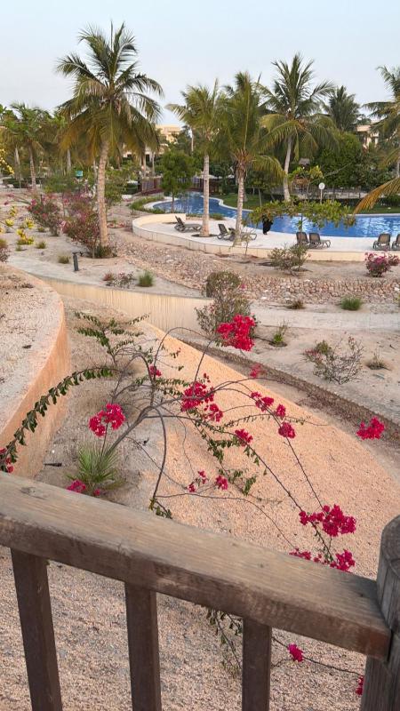 Segal 2 Hawana Salalah Forest Island - image 37