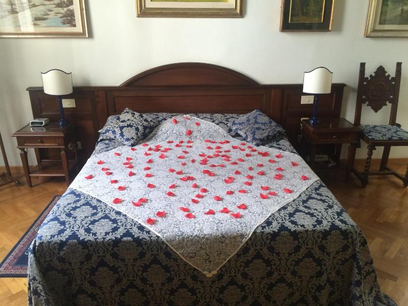 Superior Double or Twin Room image 2