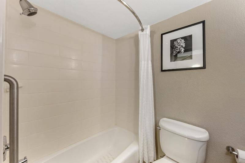 Best Western Alamo Suites - image 49