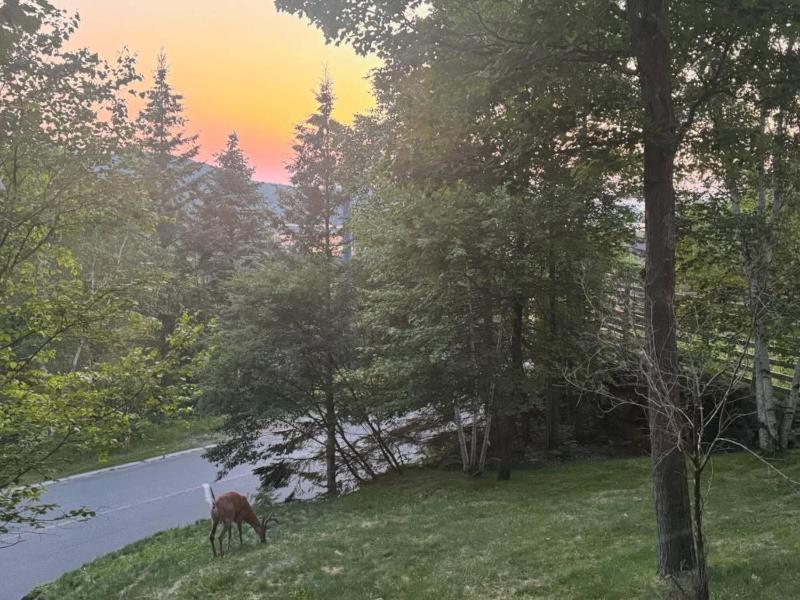 Le Chalumeau by Chez Tremblant - image 22