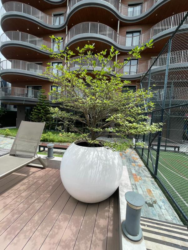 Luxury 2-Bedrooms Apartment in Airport Residential - image 9