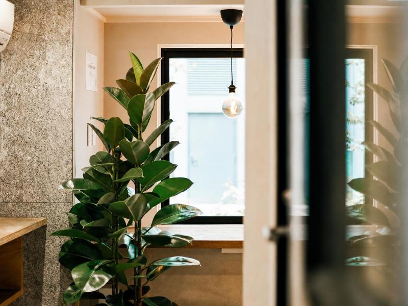 Akasaka Guesthouse HIVE - image 2