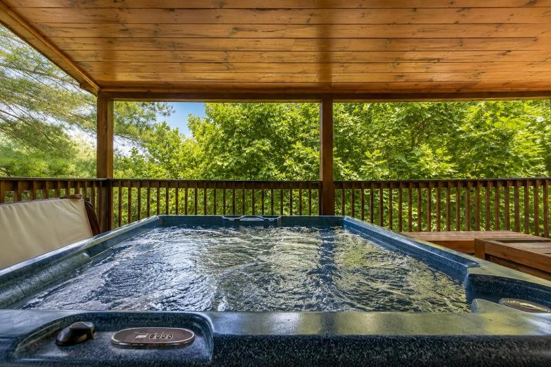 A Suite Mountain Retreat free tickets no catch! - image 7
