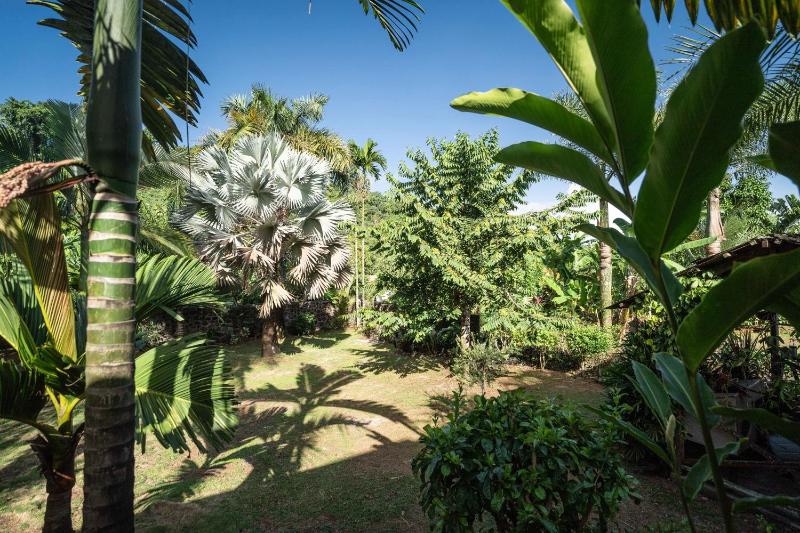 Villa Bananes Rouges - image 6