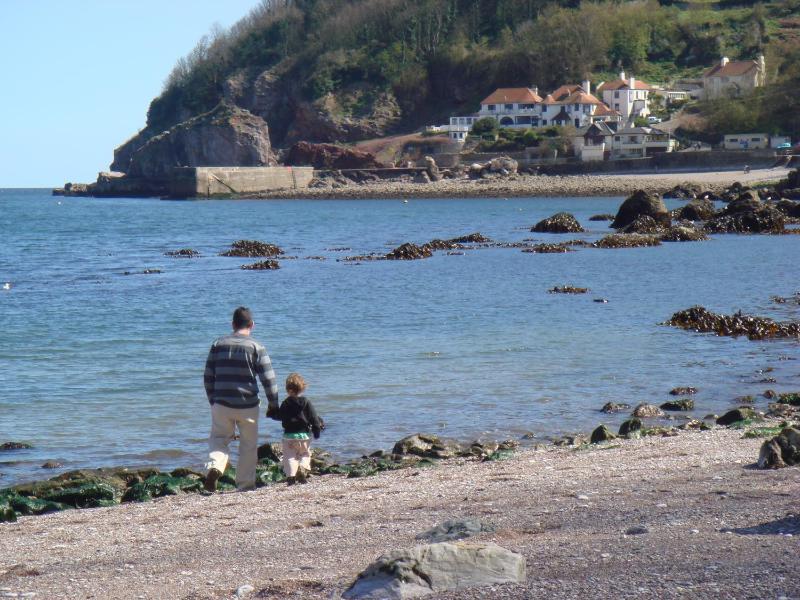 The Downs Babbacombe - image 5
