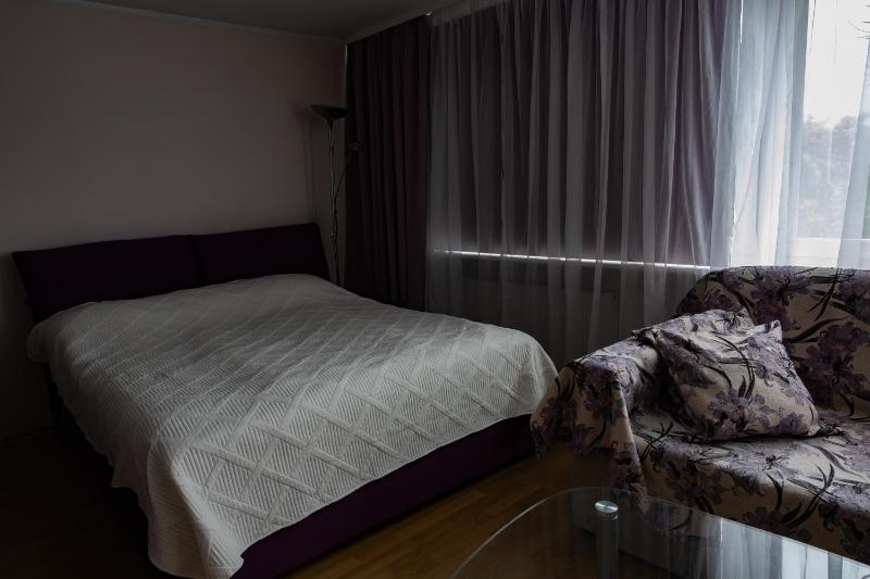 Astra City Centre Apartment - image 4