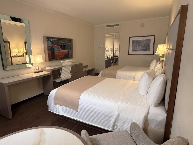 Safi Royal Luxury Centro - image 44