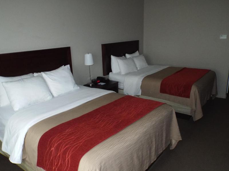 Queen Room with Two Queen Beds - Non-Smoking image 4
