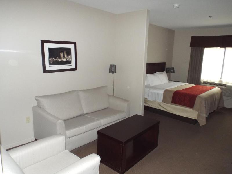 King Studio Suite - Non-Smoking image 3