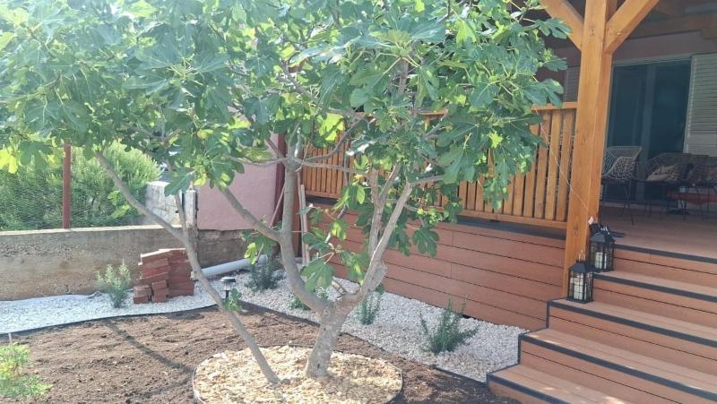 Seaside holiday house Mirca Brac - 25279 - image 21