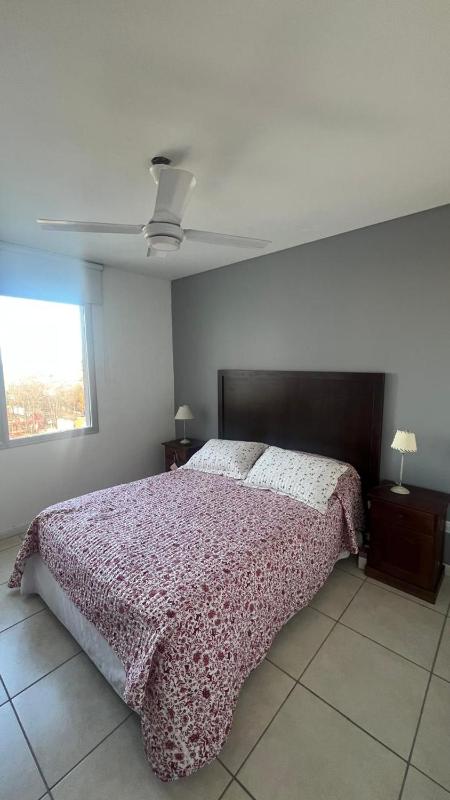 Spacious apartment in the Chauvin area of Mar del Plata - image 11