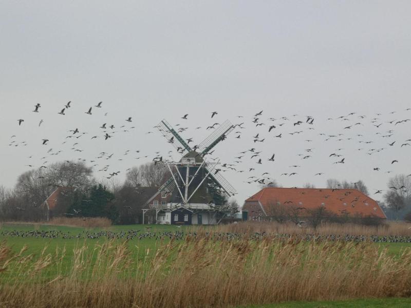 Ferienwohnung-Abendruh-in-der-Ferienanlage-Suedblick - image 18