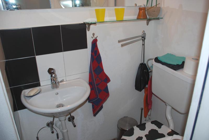 CASA LEONE - Apartements im Alto Malcantone - image 30