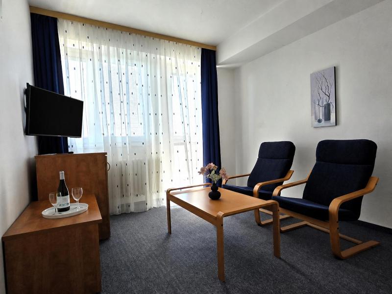 Hotel Centrum Brno - image 27