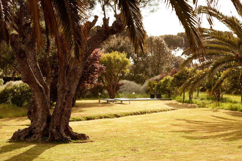 Quinta Do Miguel - image 49