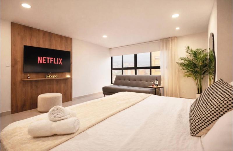 Suite de lujo cama king con AC - image 12
