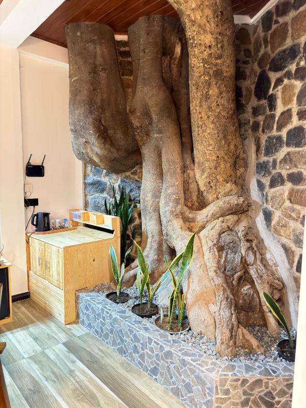 The Trunk House - image 31