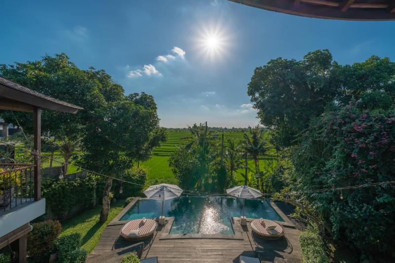 Rimba Villas - Luxury Lush Estate in Canggu - image 29