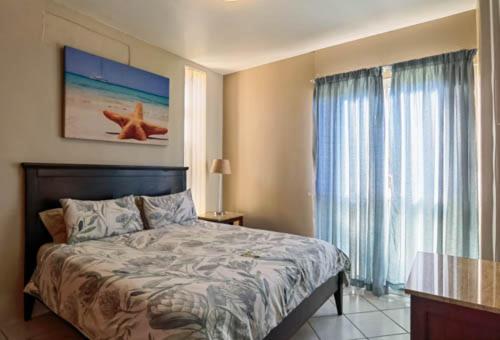 LA Ballito - image 14