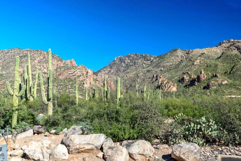Gorgeous Mountain & City Views Pools & Hot Tubs - image 14