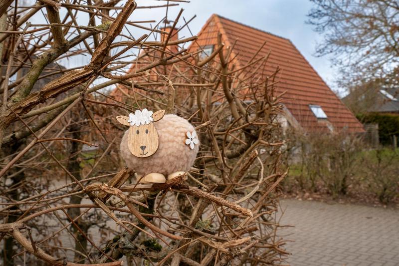 Ferienhaus Opi Huck Stroot 15 - image 9