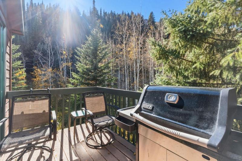 Timber Falls 4BR Penthouse Retreat with Views - image 7