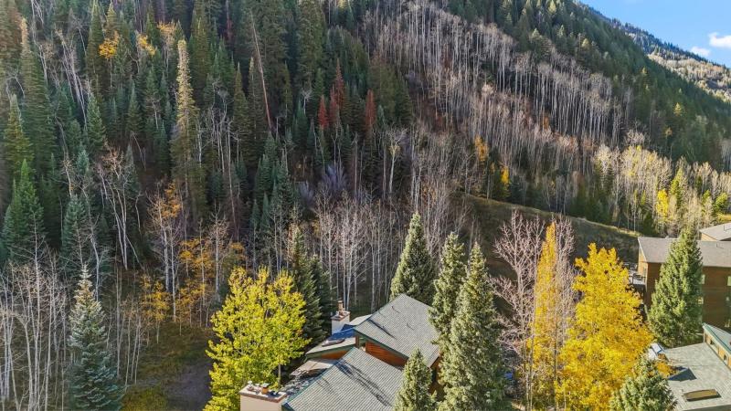 Timber Falls 4BR Penthouse Retreat with Views - image 25
