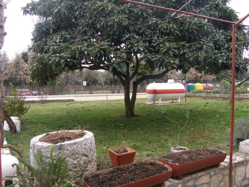 Apartments with parking space Rovinj - 27697 - image 2