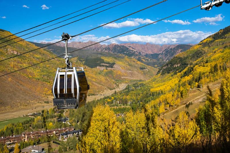 Nine Vail Road Easy Access to Gondola - image 20