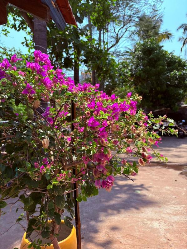 La Muthu Beach Stay - image 30