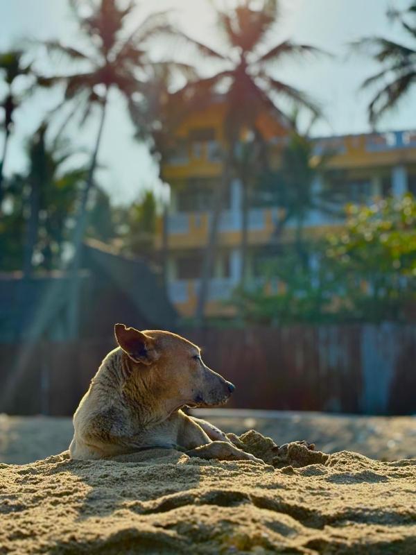 La Muthu Beach Stay - image 20