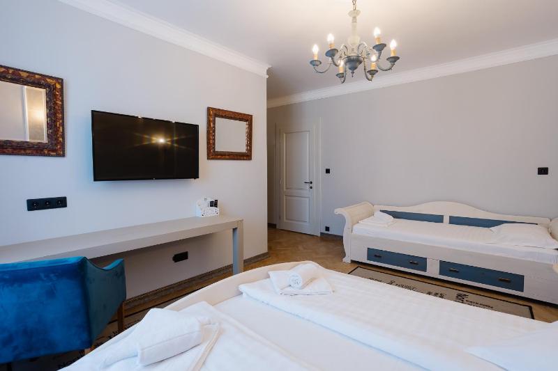 Vila Sibiu - image 44