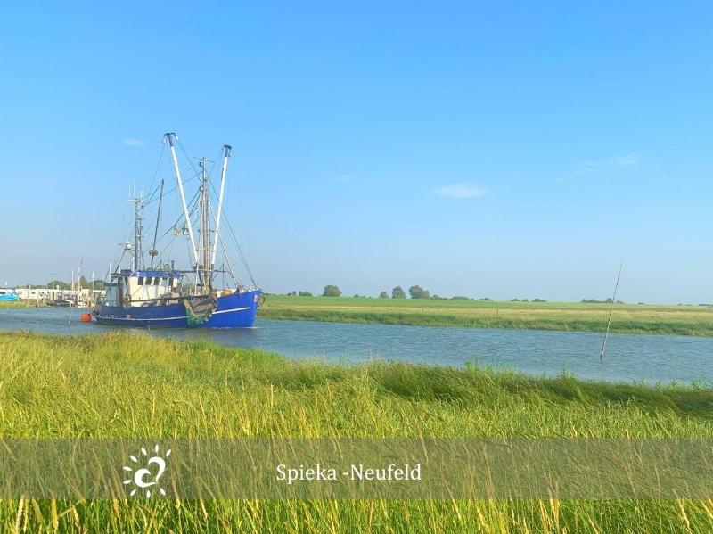 Ferienwohnung De Reetpieper Wohlfühlen am Nordseedeich - image 29