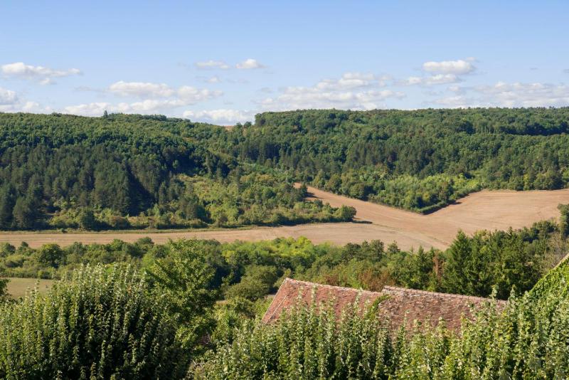 Superior Triple Room image 3