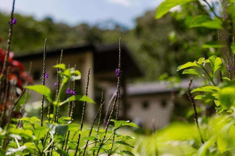 Untold Arenal - Rainforest Suites - image 11
