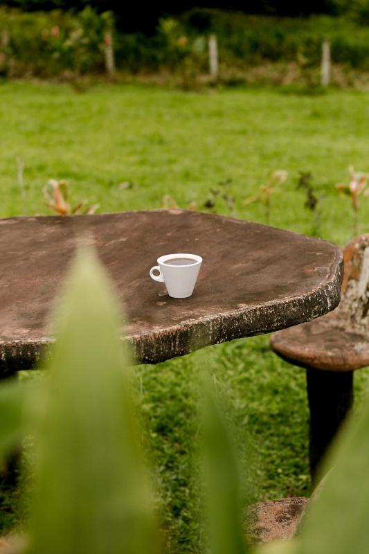 Untold Arenal - Rainforest Suites - image 7