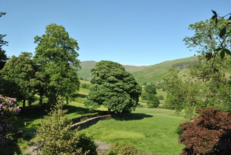 King Room with Mountain View image 2