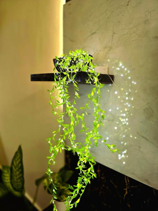 Purple Door - Luxurious 1 BHK - image 2
