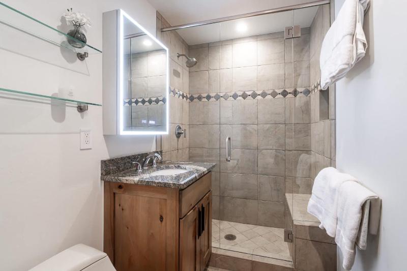 New Listing 3 BR 3 BA Aspen Condo near Gondola - image 42